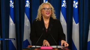 Lack of gynecological access highlights gaps in Quebec women’s healthcare